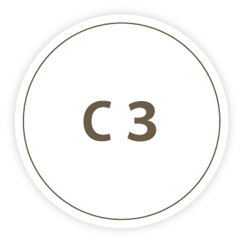 C3