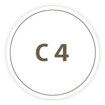 C4